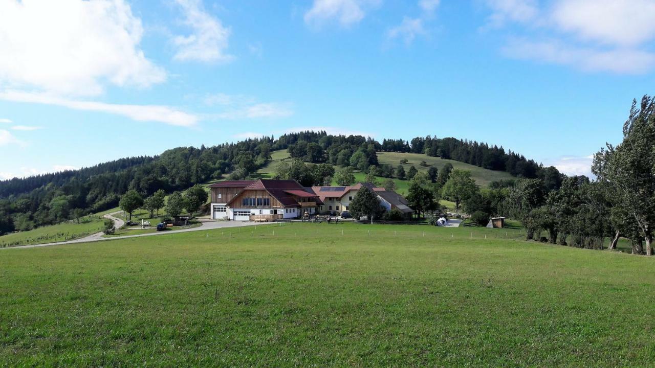 Oetscherblick Fam Winter Frankenfels Exterior photo